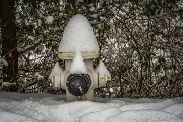  20211-03-08 A WHITE SNOW COVERED FIRE HYDRANT