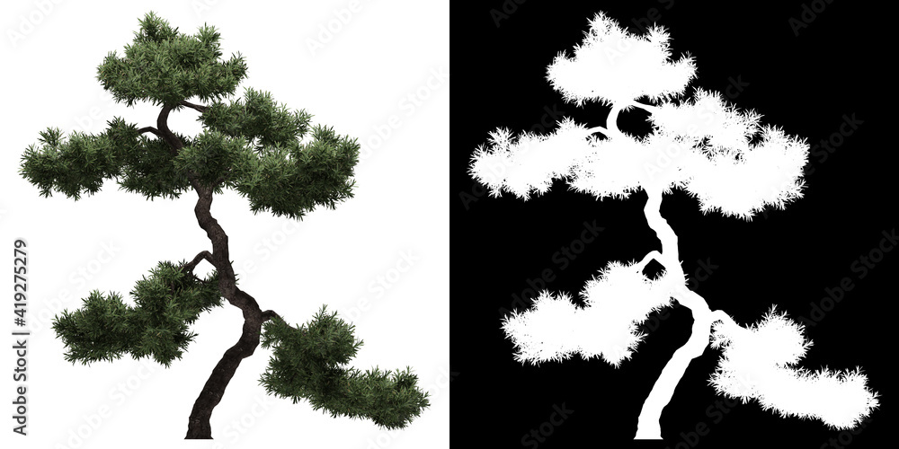 Wall mural front view of tree (filifera aureai) png with alpha channel to cutout 3d rendering