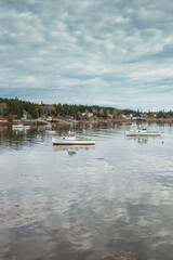 USA, Maine, Stonington. Autumn morning at Stonington Harbor.