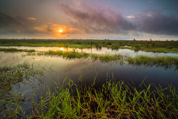 Sunrise on the Ketimpun Swamp
Central Kalimantan Indonesia