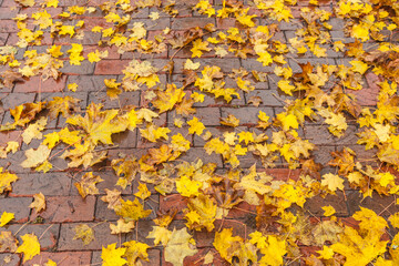 USA, Maine, Wiscasset with autumn foliage.