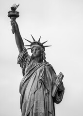 Fototapeta premium Statue of Liberty