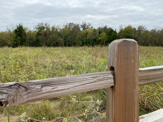 Fototapeta premium Prairie View