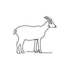 Line drawing of a goat on white background. Templates for your designs. Vector illustration.