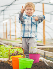 Kid child in Greenhouse. Garden Green houses and Garden Greenhouse family Kits.