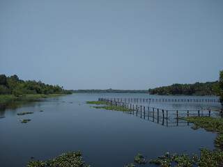 Vellayani fresh water lake, pearl spot fish rearing nest, Thiruvananthapuram Kerala