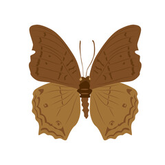 Vector illustration of butterfly cartoon on white background - 419284023