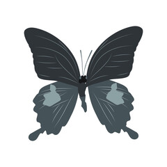 Vector illustration of butterfly cartoon on white background - 419284045