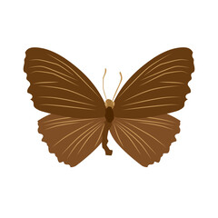 Vector illustration of butterfly cartoon on white background - 419284087