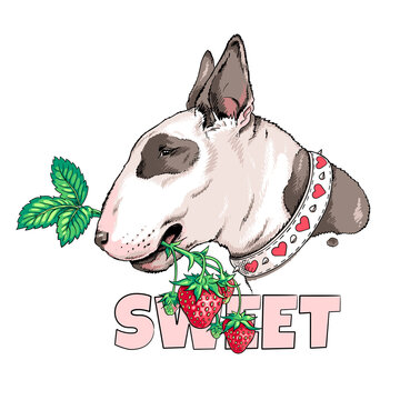 Cute bull terrier dog with a sprig of strawberries. Sweet illustration in hand-drawn style. Stylish image for printing on any surface