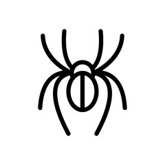 spider
