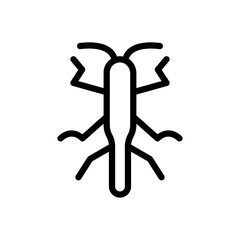 insect
