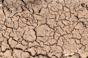 dry cracked earth