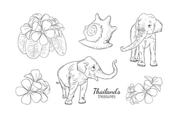 Thailand summer and sea treasures like elephants, seashell, and frangipani. Set of Asian thai symbols. Engraved vector illustration isolated on white background