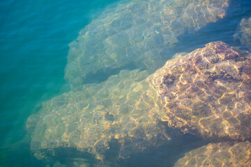 Baltic sea landscape on a winter day