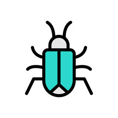 insect