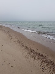 Obraz premium Sandy shore of the Baltic Sea