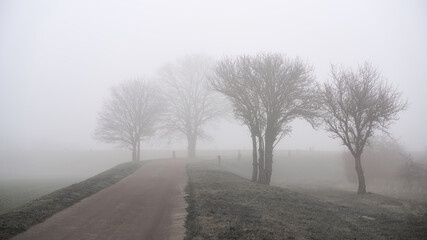 Fog landscape with trees on the roadside of a village street in Germany in winter 