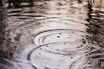Circular ripples in a lake