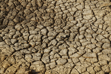 Cracks in the ground. Earth in a hot summer.