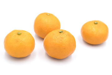 Tangerine photography