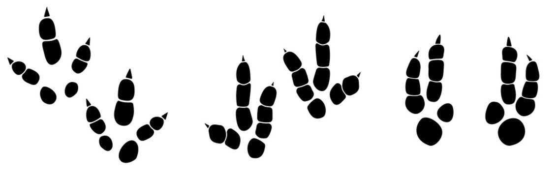 Dinosaur footprint tracks vector set illustration. Background with paw, claw predator. Dinosaur footprint illustration perfect for textile, wrap and wallpaper and design.