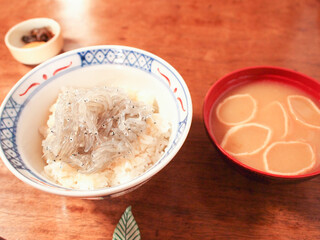 生シラス丼
