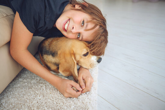 Happy boy and dog Beagle hugs her with tenderness, smiles, looks at the camera at home. Pets. Emotions of people. Childhood. Life style. Animal care. High quality photo.