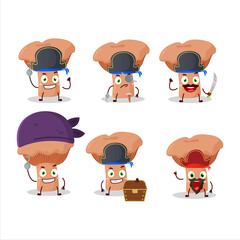 Cartoon character of niscalo with various pirates emoticons
