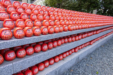 供養のために並べられた達磨