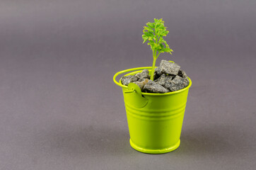 Green sprout in a small bucket with gravel on a gray background.