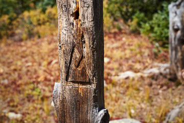 Colorado trail marker carved into stick.