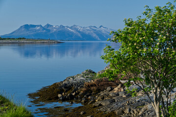 Norway sea and mountains