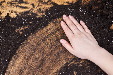 A woman farmer runs her hand along the earth on a wooden background.