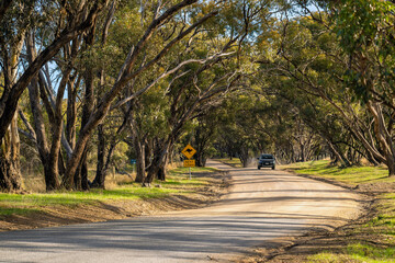 Kangaroo sign along the country road with the car on the background at Onkaparinga River National...