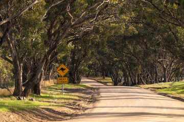 Kangaroo warning next to the country road in the Onkaparinga River National Park on a day, South...