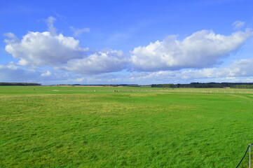Fototapeta premium 青空と雲と草原