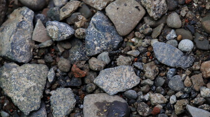 rock shards on the ground in the yard, not focus and noise image
