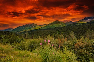 Photo sur Plexiglas Denali Picturesque Mountains of Alaska in summer. Snow covered massifs, glaciers and rocky peaks. Beautiful natural background.