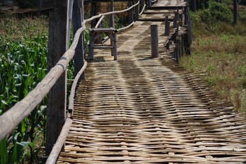 Natural View Empty Bamboo Bridge at Northern Thailand