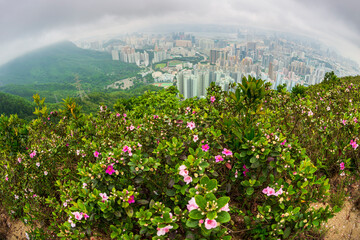 Hiking at Ma On Shan country park, Hong Kong