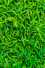 Green chilli peppers in Indian market