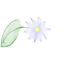 Flower with leaves Vector. linear Colorful floral background