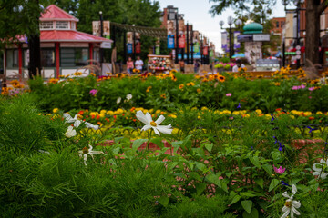Pearl Street Mall_Boulder Colorado © Schrodington, LLC