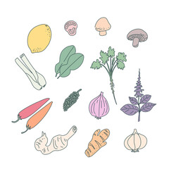 Thai herbal illustration 