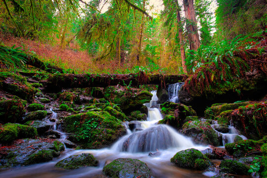 View of Trillium Falls, Redwoods National and State Parks, California