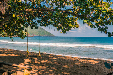 caribbean beach with palm trees