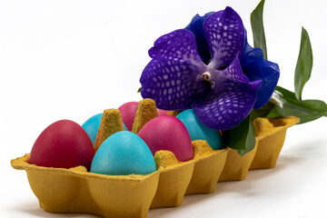 Easter background. Close-up of colorful Easter eggs in a bright cardboard egg box and a blue orchid flower on a white background. Easter composition, bright color, healthy product, festive mood.