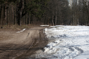 winter forest road among trees and snow