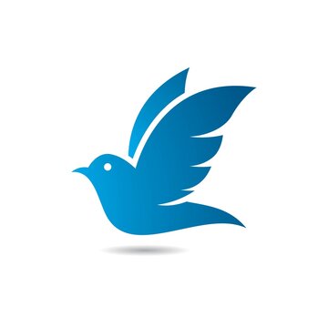 7,673 BEST Dove Birds Images IMAGES, STOCK PHOTOS & VECTORS | Adobe Stock